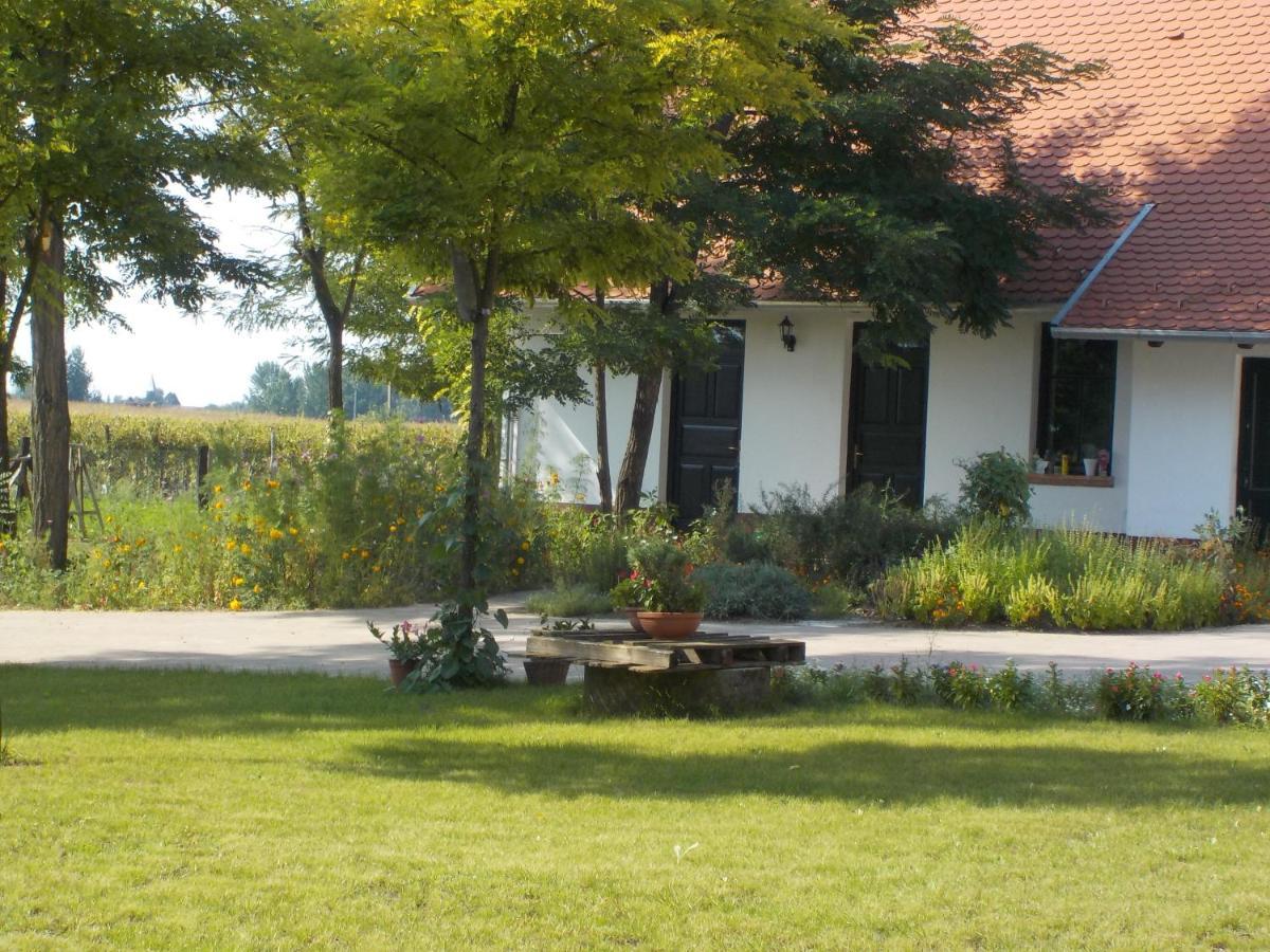 Guest House Vidravar Tabdi Extérieur photo